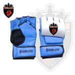 MMA Gloves